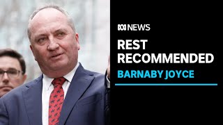 Pressure on Barnaby Joyce, Andrew Giles on a busy day in federal parliament | ABC News