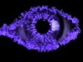 Official CBB 2010 eye!