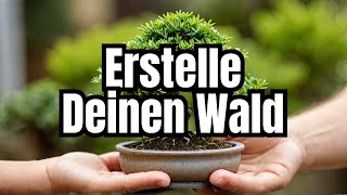 Bonsai für Anfänger: Bonsai Wald leicht gemacht (Teil 1)