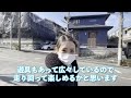 【不動産屋さんの街紹介】柿生駅からセレニティヒルズまでご案内