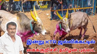 இன்று கைக்குறிச்சி தமிழன் புல்லட்||KTR Jalligattu 2024