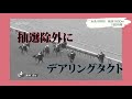 【レイパパレの物語】デビュー以来負けなし！５戦５勝を誇る彼女は名馬へと成長することができると思いますか？期待されていながら抽選に漏れてしまった秋華賞でのデアリングタクトとの対決が実現！？