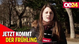 Nach Mega-Kälte: Jetzt kommt der Frühling