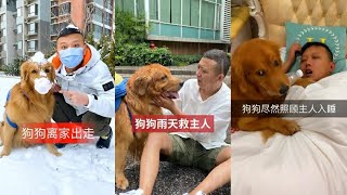 神犬路虎-狗子开车遛弯竟拾金不昧😃狗狗尽然照顾主人入睡😂轮胎拯救鱼结果令人吃惊😲