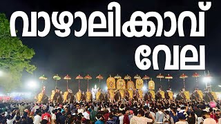 വാഴാലിക്കാവ് വേല 2024 | vazhalikavu vela