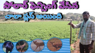 solar fencing work in telugu/ తక్కువ ఖర్చులో,చాలా ప్లస్ అయింది