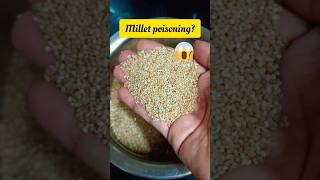 Deaths from millet poisoning? 😱#shortsfeed