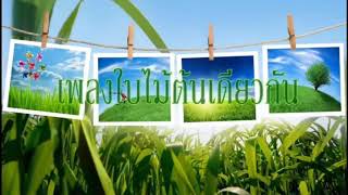 ฝืน 3 [ใบไม้ต้นเดียวกัน]