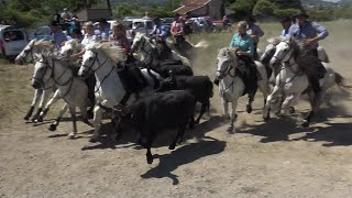 CAVEIRAC INTERVILLAGE 14.07.2022 + CONCOUR ABRIVADO 16.07.2022