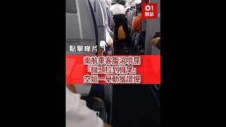 南航乘客腹瀉噴屎「機頭拉到機尾」變糞路　空姐一舉動獲讚爆