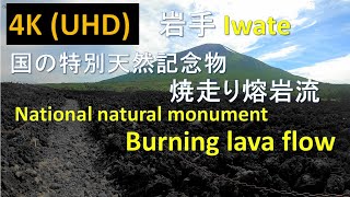 【4K】岩手 焼走り溶岩流 Iwate Burning lava flow