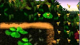 Donkey Kong Country - TAS - 1124 Tokens in Expresso Bonus