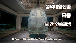 성덕대왕신종 타종 1시간 연속재생 Sound of Sacred Bell of Great King Seongdeok