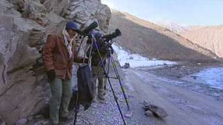 BBC Snow Leopard Beyond The Myth HDTV ImranHabib 2