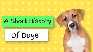 A short history of dogs