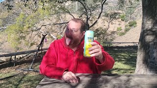 Brew Review: Lagunitas Disorderly TeaHouse Yuzu Lemon Squeeze