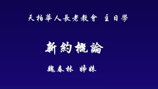 天柏华人长老教会  主日学2021/5/23