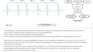 3 wissenschaftliche Gründe für amerikanische Chiropraktik