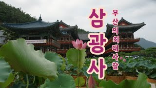 부산의 대표 사찰 삼광사