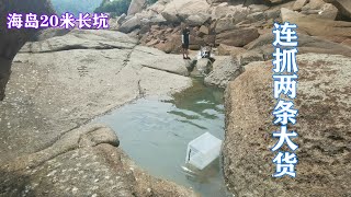 【小郭赶海】盘海边20米长坑连擒两条大货，拽出身带斑纹的海货，小伙立马丢掉