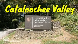 Cataloochee Valley