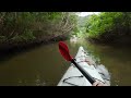 西表島：仲良川カヌー下り　／　iriomote paddling down the nakara river