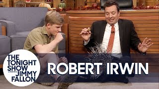 Robert Irwin's Baby Porcupine Finds a Home on Jimmy's Lap