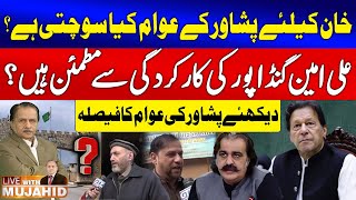 Public Survey | Imran Khan Imprisonment \u0026 Ali Amin Gandapur Performance | Mujahid Barelvi | GTV News