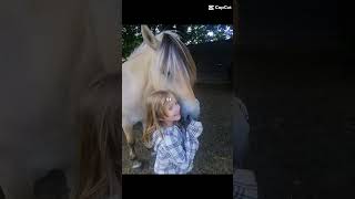 STOP SA Y EST#horse#chaina