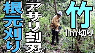 Mowing Tsumura's bamboo cutting blade is split into pieces and 1m of bamboo is cut at the base.