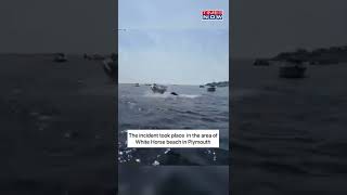 Humpback Whale Briefly Submerges Boat In US #shorts