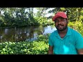 වසර 100කට වඩා පැරණි හැමිල්ටන් ඇල hamilton canal over 100 years old vlog 02