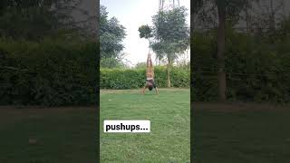 pushups | pushup | handstand | calisthenic | strength training| #shorts #fitness #trending #pushups
