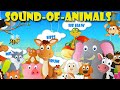 Animal Sounds Song For Kids And Preschoolers