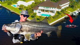 BACKYARD FISHING BIG SNOOK OFF SEAWALLS! (SURPRISE CATCH!)