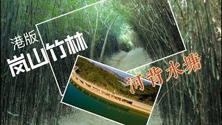 港版「京都嵐山竹林」→河背水塘家樂徑 *航拍【Ho Pui Reservoir】Hong Kong Hiking Trail