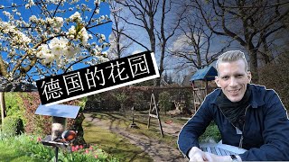 德国的花园传统文化！德国人的梦想：一天有自己的有花园的房子！Deutsche Gartentradition. Der Deutsche Traum: Ein Haus mit Garten!