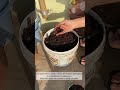 how to compost kitchen waste sustainableliving