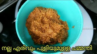 ചോറിനു കൂട്ടാൻ ഇതുമാത്രം മതി /coconut chammanthi