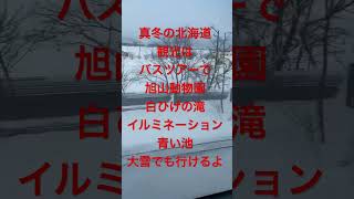 真冬の札幌観光はバスツアー一人5800円で1日観光できちゃうよ