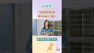 毛孩結紮前該注意什麼？需要禁食禁水嗎？  #毛學堂 #毛派樂動物醫院 #張佳倖