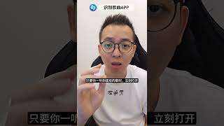 音乐识别神器应用APP Shazam #shazam #左手男 #应用 #application #app