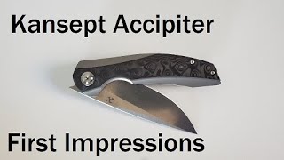 Kansept Accipiter First Impressions