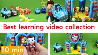 Unboxing Paw Patrol |Best Learning Video |Paw Patrol Dino Rescue Dinosaurs🦖🦖