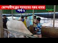 গাভীর খামার নষ্ট হয় কিভাবে? দেখুন... | Bayezid Moral | Agriculture News