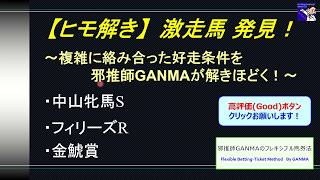 【ヒモ解き】激走馬 発見＜中山牝馬S、フィリーズR、金鯱賞＞2019