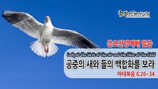 [클리블랜드 한인장로교회 3/6 금요찬양예배] 산상수훈4- 공중의 새와, 들의 백합화를 보라... (2020년 3월 6일)