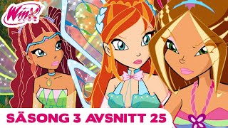 Winx Club | Svenska | KOMPLETT AVSNITT | Säsong 3 Avsnitt 25