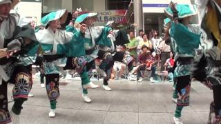 セントラル　～2014高知よさこい祭り・本番1日目(帯筋)