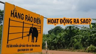 Cảnh báo nạn trộm cắp tại hàng rào bảo vệ voi ở Đồng Nai